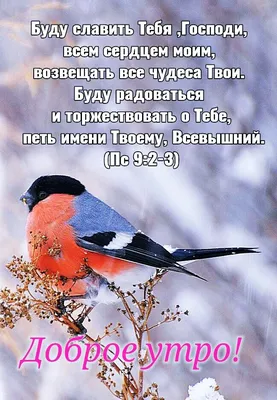С добрым утром: Христианские изображения и фото - snaply.ru