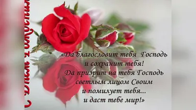 Pin by Ljudmila Sekerina on пожелания на каждый день | Bible, Adsense,  Quotes