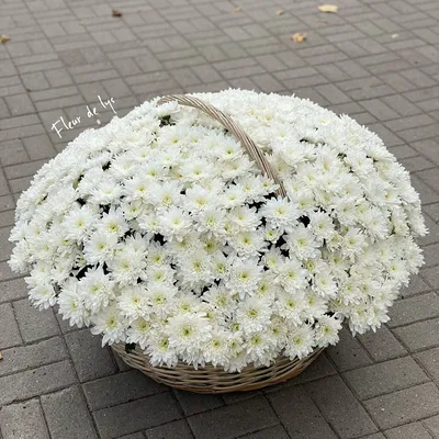 Букет из 21 разноцветной хризантемы - купить в Москве по цене 5490 р -  Magic Flower