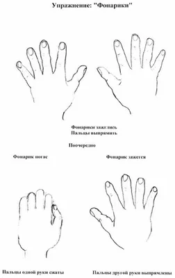 Кинезиологические упражнения в картинках фотографии