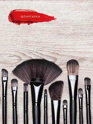 Кисти для макияжа, кисти для макияжа, макияжные кисточки — цена 288 грн в  каталоге Кисти для макияжа ✓ Купить товары для красоты и здоровья по  доступной цене на Шафе | Украина #128944962