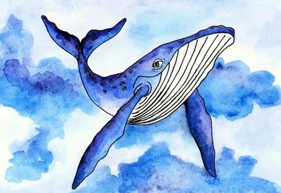 Рисунок синего кита акварелью | Watercolor blue whale drawing - YouTube