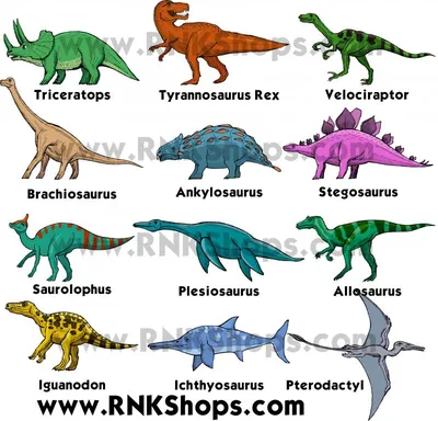 Такие разные динозавры. Энциклопедия в картинках - Vilki Books