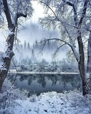 Классные картинки зима фотографии