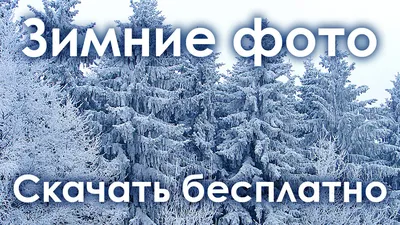Pin by Yulianna on красивые картинки | Winter scenery, Winter landscape,  Winter scenes