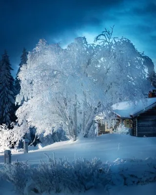 Картинки зимы на телефон - 68 фото