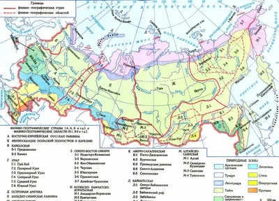 Онлайн-конференция «Бизнес-климат России. Нацпроекты»