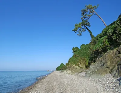 Отели Кобулети, Грузия со своим пляжем, все включено, цены на 2024 год,  первая линия у моря