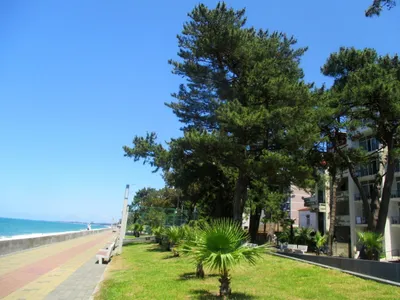 кобулети грузия : пейзаж с видом на набережную у пляжа на черном море в  солнечный летний день. Редакционное Фотография - изображение насчитывающей  курорт, грузия: 228515642