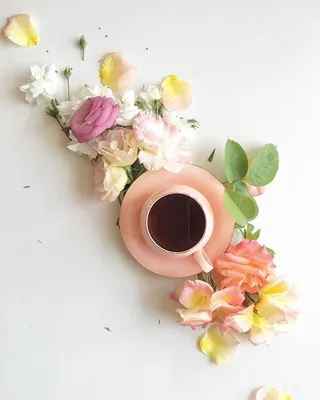 Картинки по запросу доброе утро весна кофе | Coffee cafe, Coffee flower,  Coffee obsession