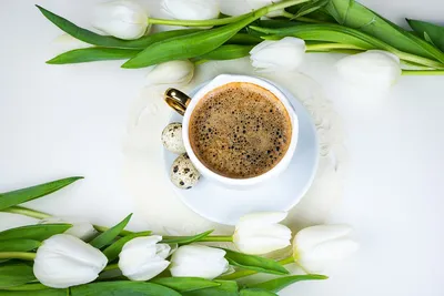 Кофе и весенние цветы стоковое фото ©bit245 9515334