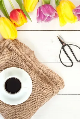 Кофе, утро и весна - этого достаточно, чтобы начался прекрасный день! |  Интересный контент в группе myJulia.Ru | Кофе, Весна, Творческий