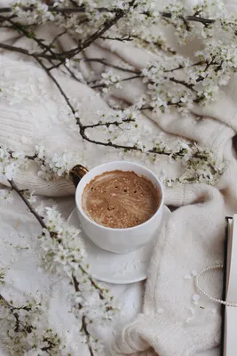 Lyubov Ivanova - Утро... Кофе... Весна... и Выходной...☕ 🌷 Прекрасное  начало чего-то хорошего!...💖 | Facebook