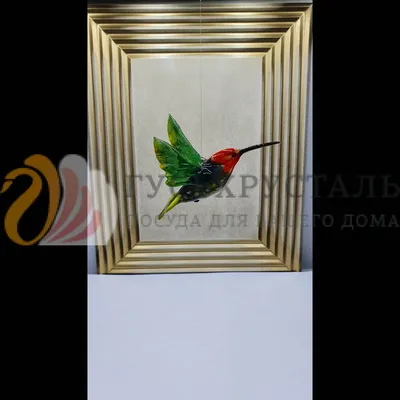Бабочка бражник-двойник птицы колибри. Описание и особенности | EntoBlog 🐜  | Дзен