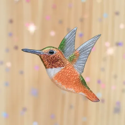Видео: 10 самых необычных и красивых видов колибри