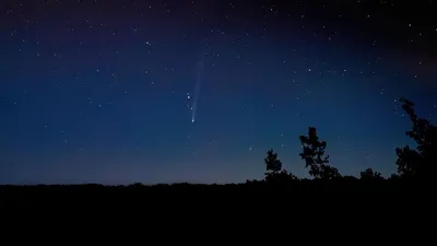 В эти выходные в небе можно увидеть недавно обнаруженную комету Нисимура