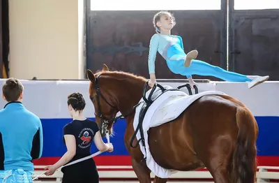 Отдаём ребёнка в конный спорт — сколько стоит и что нужно знать родителям -  Чемпионат