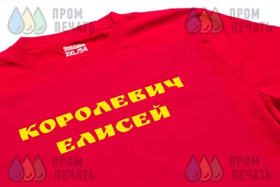 Красная футболка с надписью «КОРОЛЕВИЧ ЕЛИСЕЙ» – фото выполненных заказов  от организации «Пром-Печать»