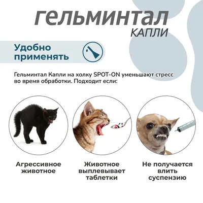 Празител суспензия от глистов для кошек и котят купить в Москве в  зоомагазине, цены - Сами с Усами