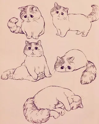 Рисунки карандашом для срисовки кошек для детей (56 фото) 🔥 Прикольные  картинки и юмор