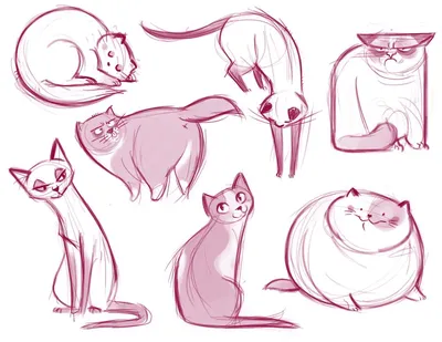 Картинки для срисовки котики в полный рост (50 шт)