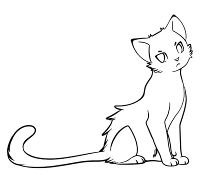 Рисунок кота легкий для срисовки карандашом - 80 фото