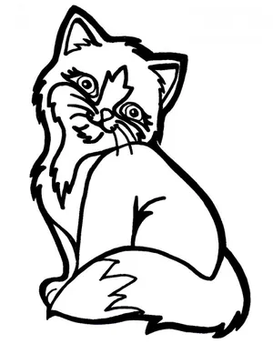 Картинка кошка аниме подмигивает ❤ для срисовки