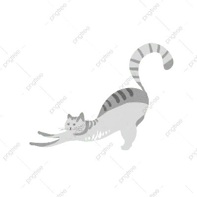 Кот на растяжке PNG , Кошка, котенок, Материал котенка PNG рисунок для  бесплатной загрузки
