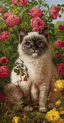 Почему кошка ест цветы и что с этим делать? | Блог зоомагазина Zootovary.com