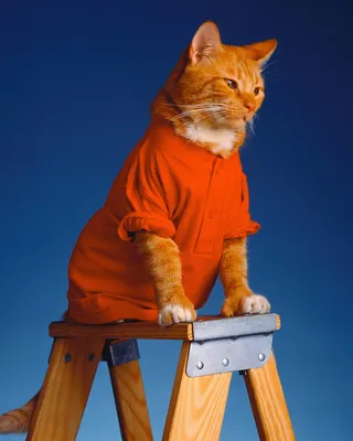 Кошка в человеческой одежде, …» — создано в Шедевруме