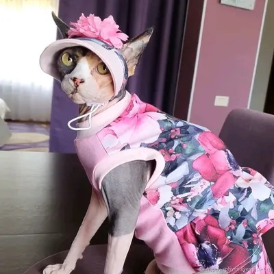 Девушка в одежде кошки» — создано в Шедевруме
