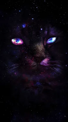 Космическая кошка арт - 35 фото