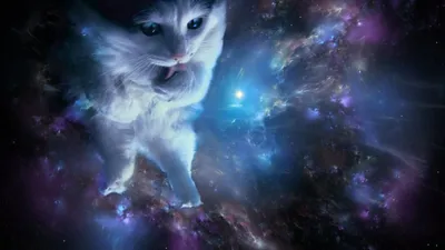 Обои коты в космосе - 29 фото
