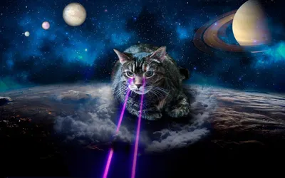 Скачать обои глаза, космос, кот, котенок, коты разрешение 3696x2448 #219936