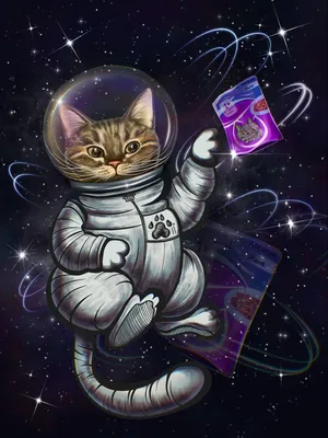 Коты в космосе — LG274 40х50 см / Купить алмазную мозаику Цветной