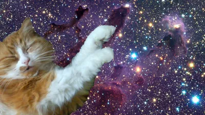 Космический кот рисунок - 68 фото