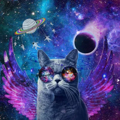Кот с космическими глазами - 72 фото