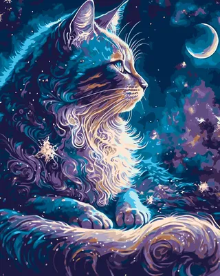 коты и космос - Full HD wallpapers