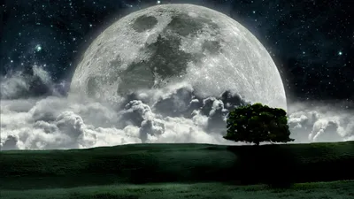Детализированный снимок Луны 🌓 | Интересный контент в группе Клуб знатоков  | Луна, Космос, Космос и астрономия