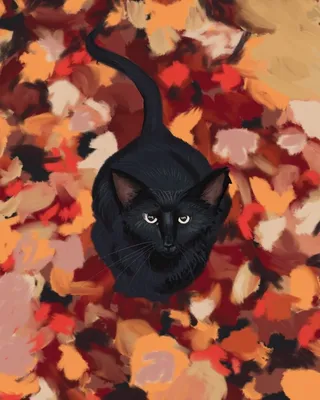 Котенок и осень | Пикабу