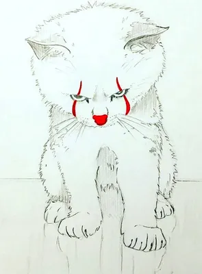 Картинки, рисунки милых котиков для срисовки | Милые котики, Абиссинская  кошка, Котенок