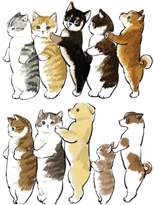 Пин от пользователя Таня Сарафанова на доске Котики | Иллюстрации кошек,  Котята, Милые котики