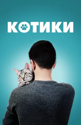 Милые котики