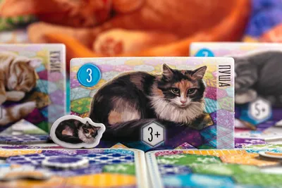 МЕМЫ 3: Котики | Купить настольную игру в магазинах Мосигра