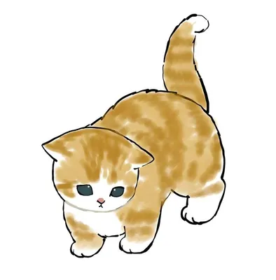 📰 Meow ‹𝟹 | Милые котики, Иллюстрации кошек, Котята