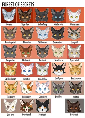 Коты воители с именами фото
