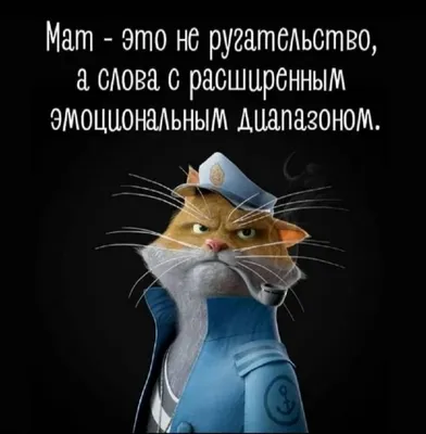 Юмор о том, как женская красота спасет этот мир! Смотрим и смеемся вместе |  Все о красоте | Дзен