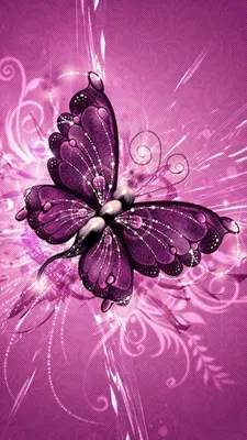 Download 15+ Simple,Stylish Whatsapp Wallpapers and Set as your Wallpaper |  Butterfly wallpaper, Purple butterfly wallpaper, Blue butterfly wallpaper
