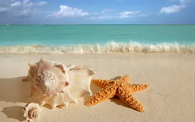 красивые рисунки на песке моря летом на природе Стоковое Фото - изображение  насчитывающей закат, океан: 271712530
