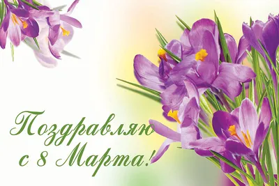 Картинки на 8 марта: красивые, прикольные и необычные открытки к празднику  - МК Новосибирск